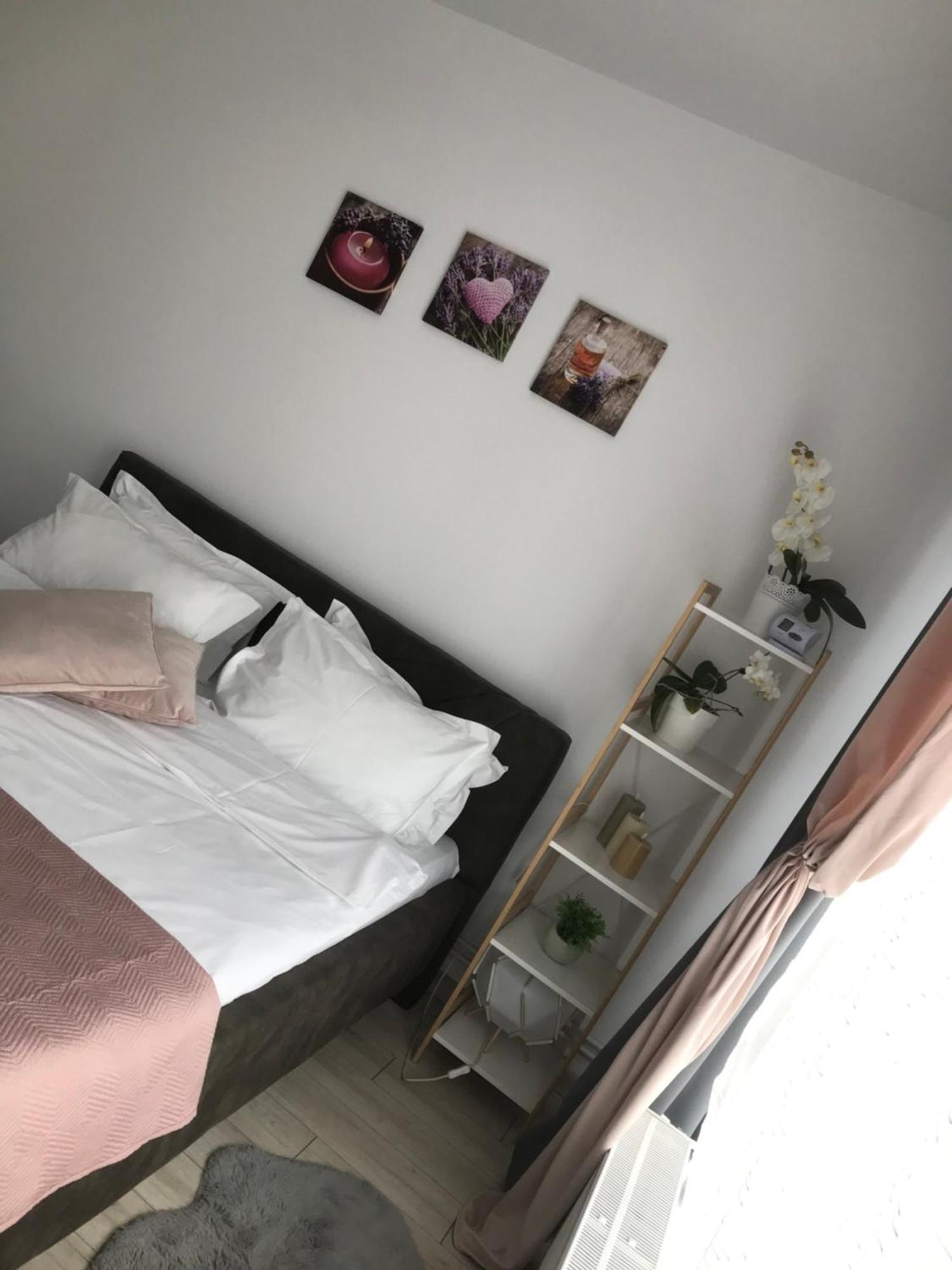 Ferienwohnung Deea H24 Rîşnov Exterior foto